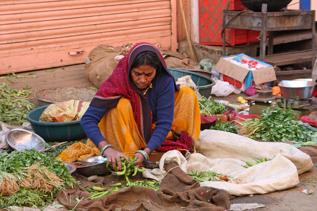 The vegetable seller