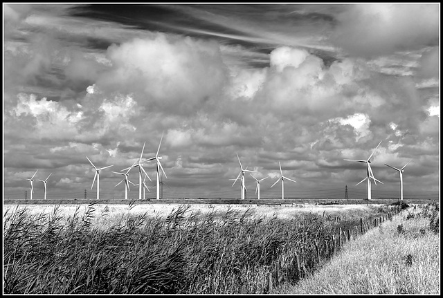 Sails on the horizon.