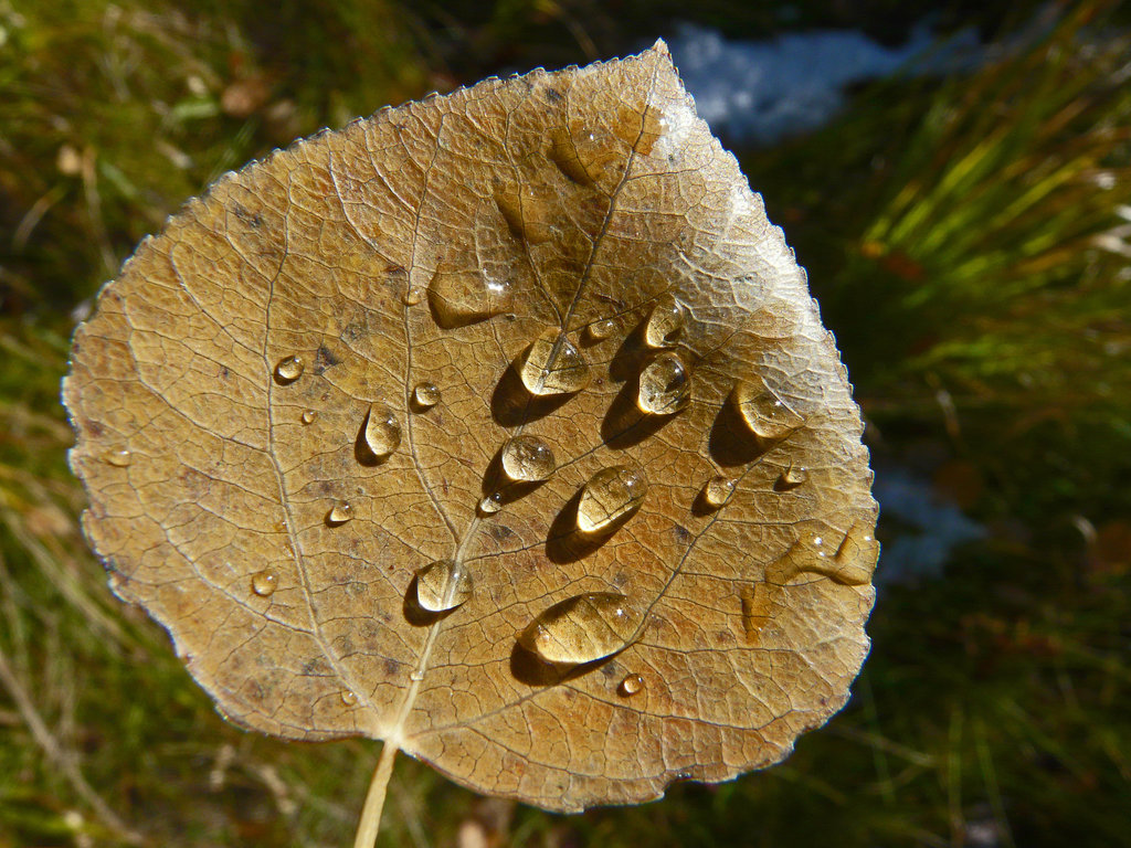 Changing seasons