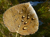 Changing seasons