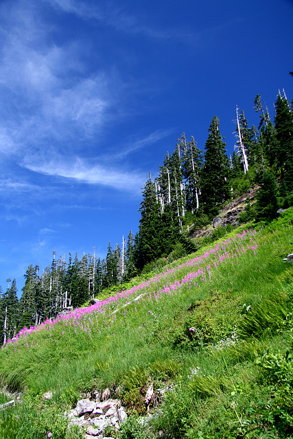 Lake Ann Trail Lake Ann Trail