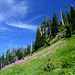 Lake Ann Trail