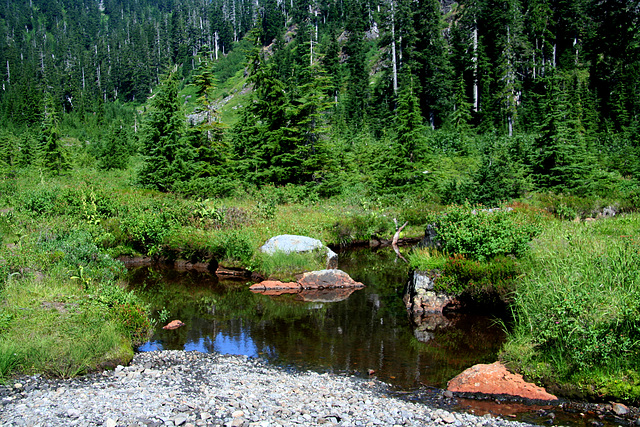Along the Lake Ann Trail Along the Lake Ann Trail