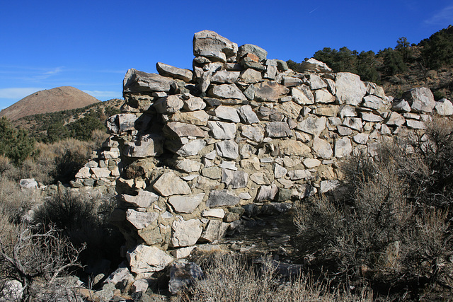 Pine Grove, Nevada, USA