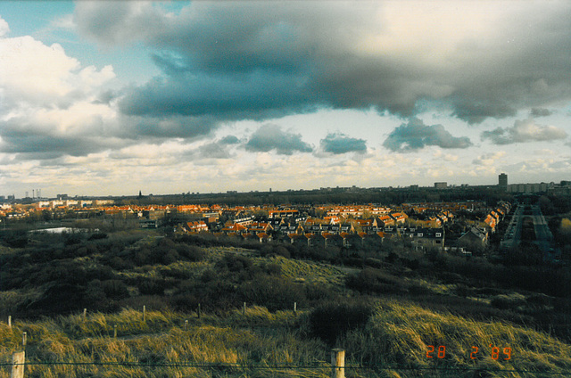 View of the Vogelbuurt (Bird's Neighbourhood) of The Hague