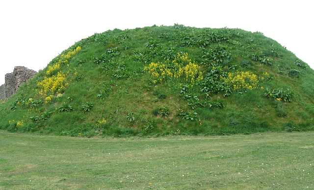 Castle Mound