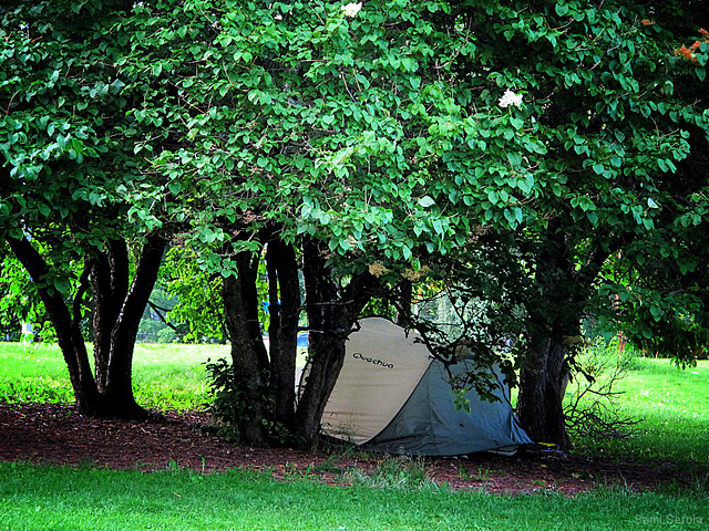 Some more camping in the park