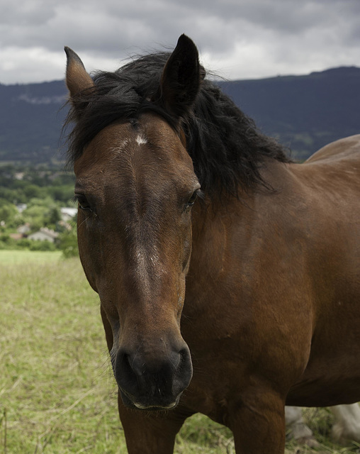 Rencontre