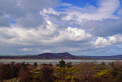 Scrabo Tower and Strangford Lough from Castle Espie