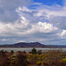 Scrabo Tower and Strangford Lough from Castle Espie