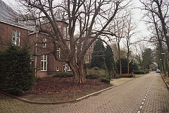 Former Pathology Laboratory of Leiden University