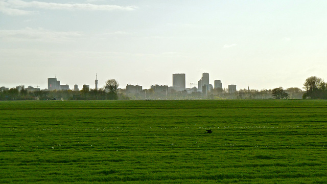 View of the "skyline" of The Hague