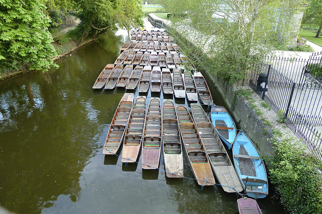 Oxford – Punts