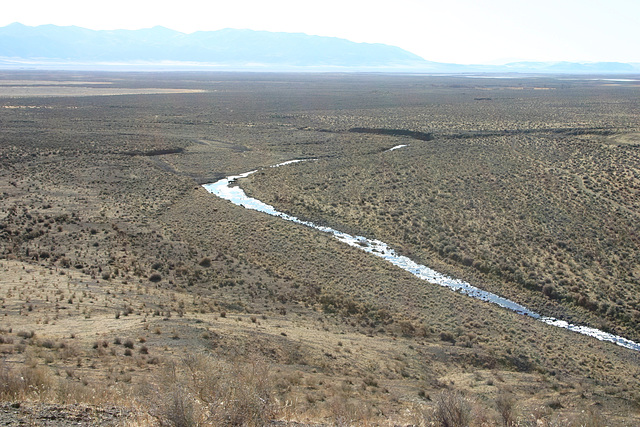 Buffalo Creek