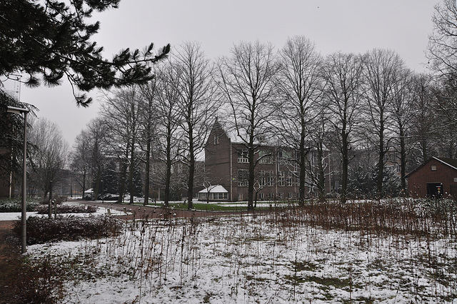 Former Anatomy Laboratory of Leiden University