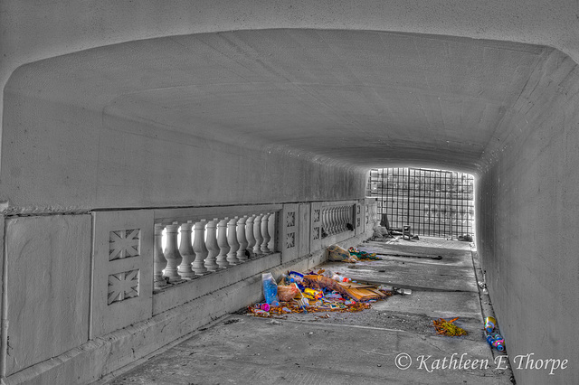 Troll Trash - I was composing the downtown skyline when I looked behind me and saw the trash accumulation underneath the bridge.  I couldn't resist and I shot through the closed iron gate.