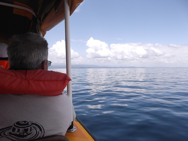 Vroom aquatique / Aquatic vroom.