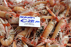 Scampi