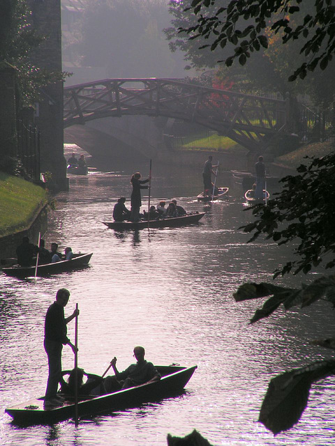 Punting fun