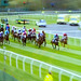 Grand National