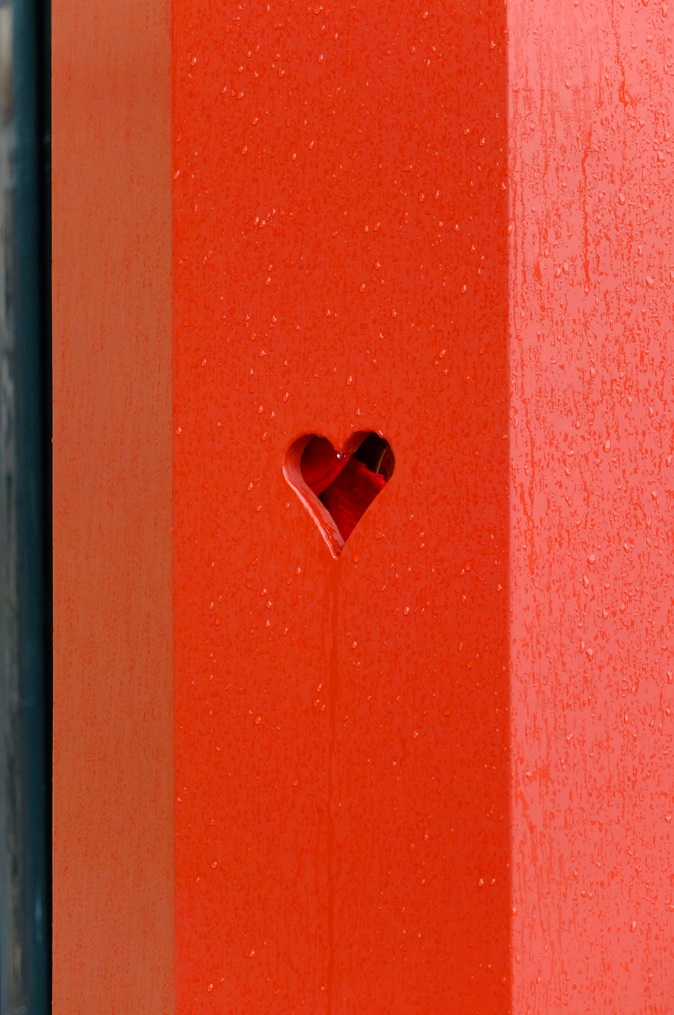 Copenhagen heart