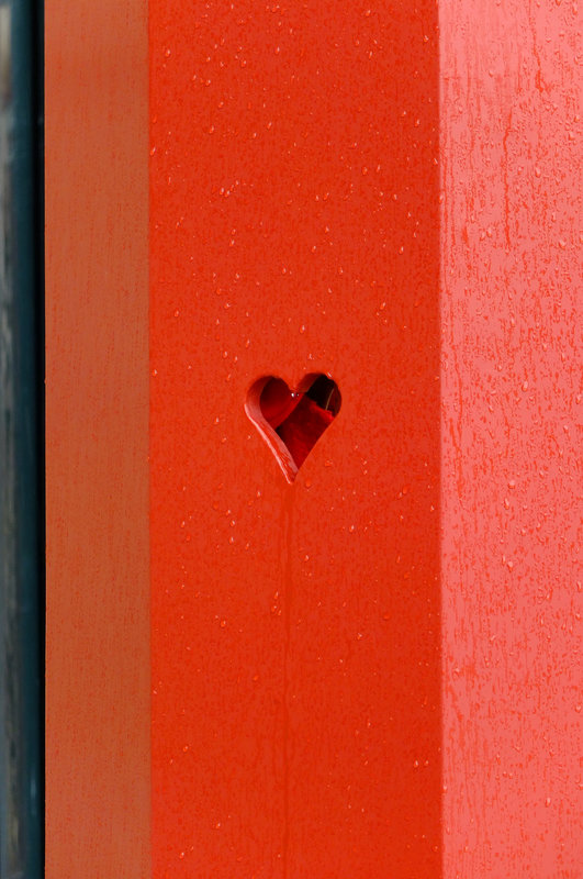 Copenhagen heart