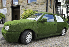 Witchgrass car.