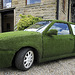 Witchgrass car.