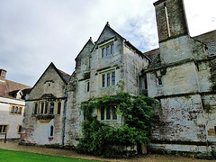 athelhampton hall, dorset