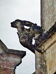 athelhampton hall, dorset