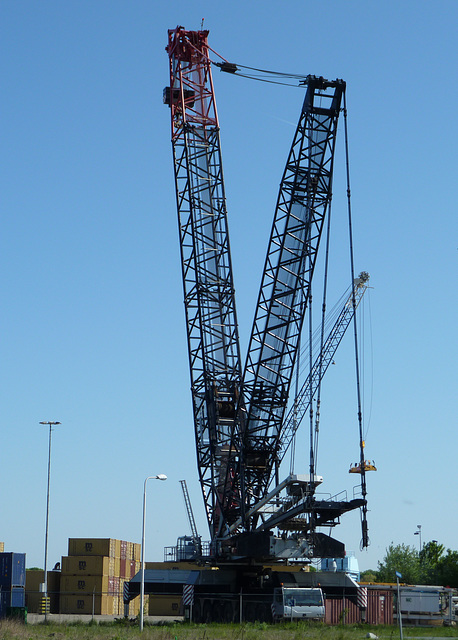 Crane in Velsen-Noord