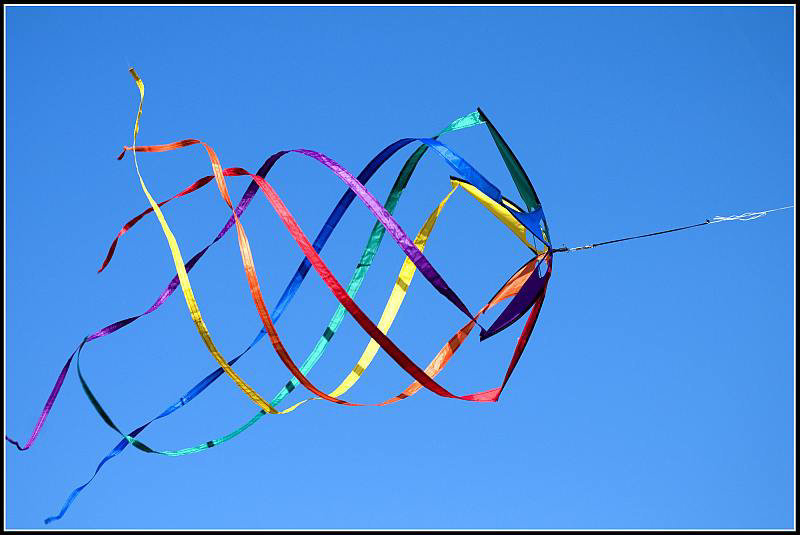 Kite - Southea Kite Festival