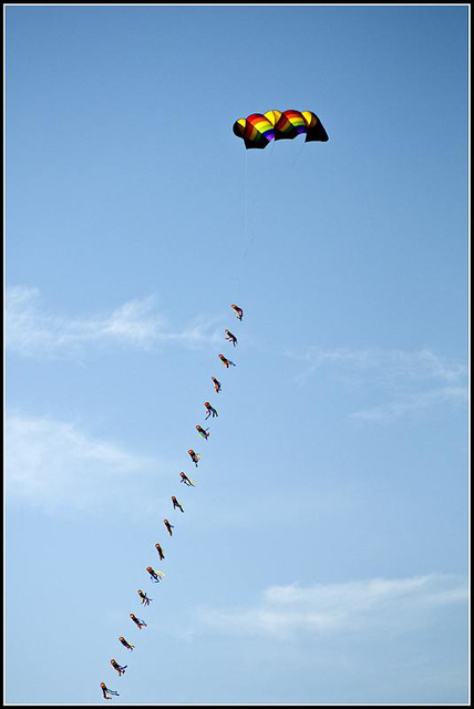 Kite - Southea Kite Festival