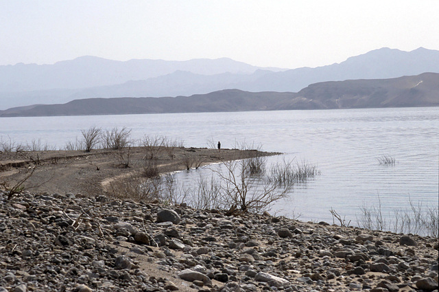 Shoreline, Overton Arm