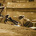 Girl reading a book by the Cam