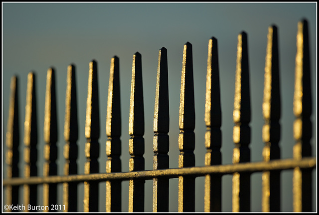 Golden evening light on fence