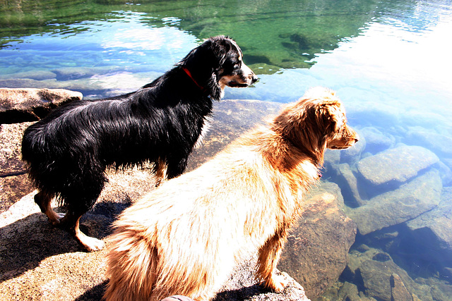 Jack & Cole at Green Lake