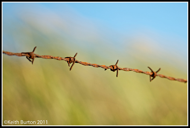 Rusty barbed wire and Bokeh