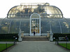 Palm House