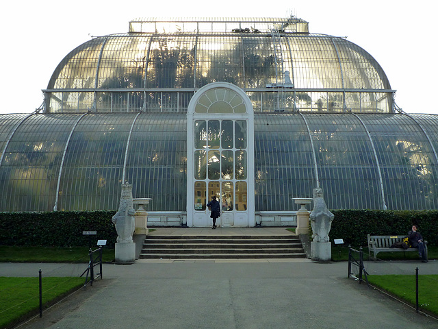 Palm House