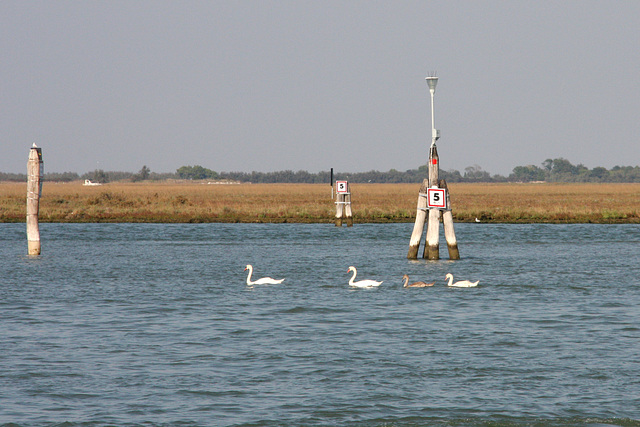 Crossing the lagoon 2