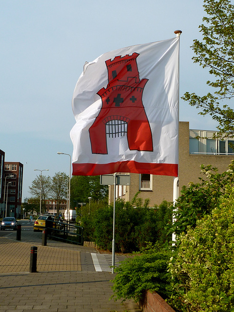 The ﬂag of Rijnsburg