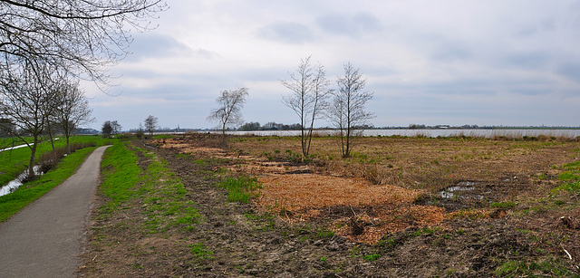 View of the dyke of the Oudendijk Polder