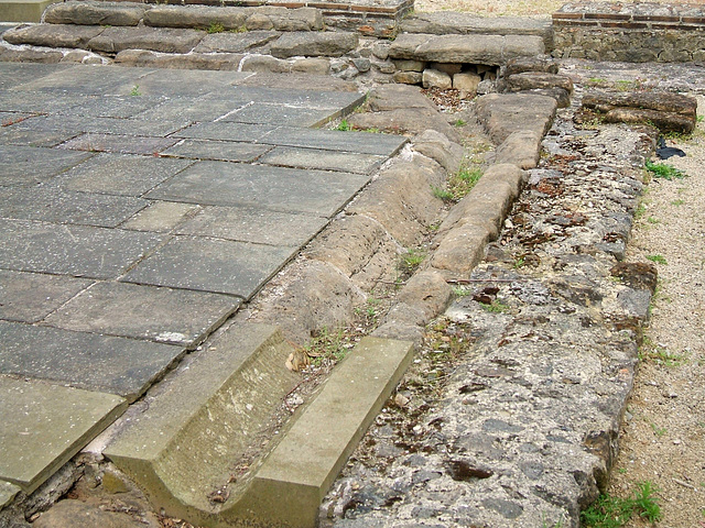 Gulley in Forum