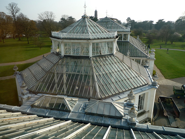 Temperate House