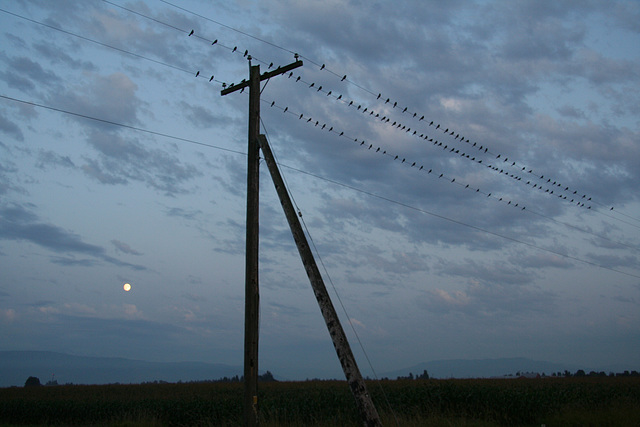 Autumn Evening