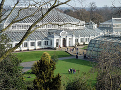 Temperate house