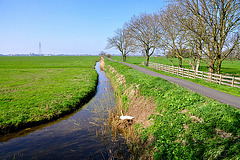 Path near Hoogmade