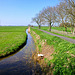 Path near Hoogmade