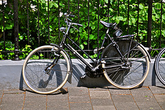 Gazelle bike